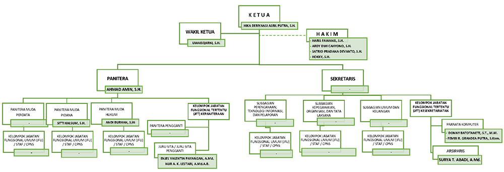 Struktur Organisasi PN Malili